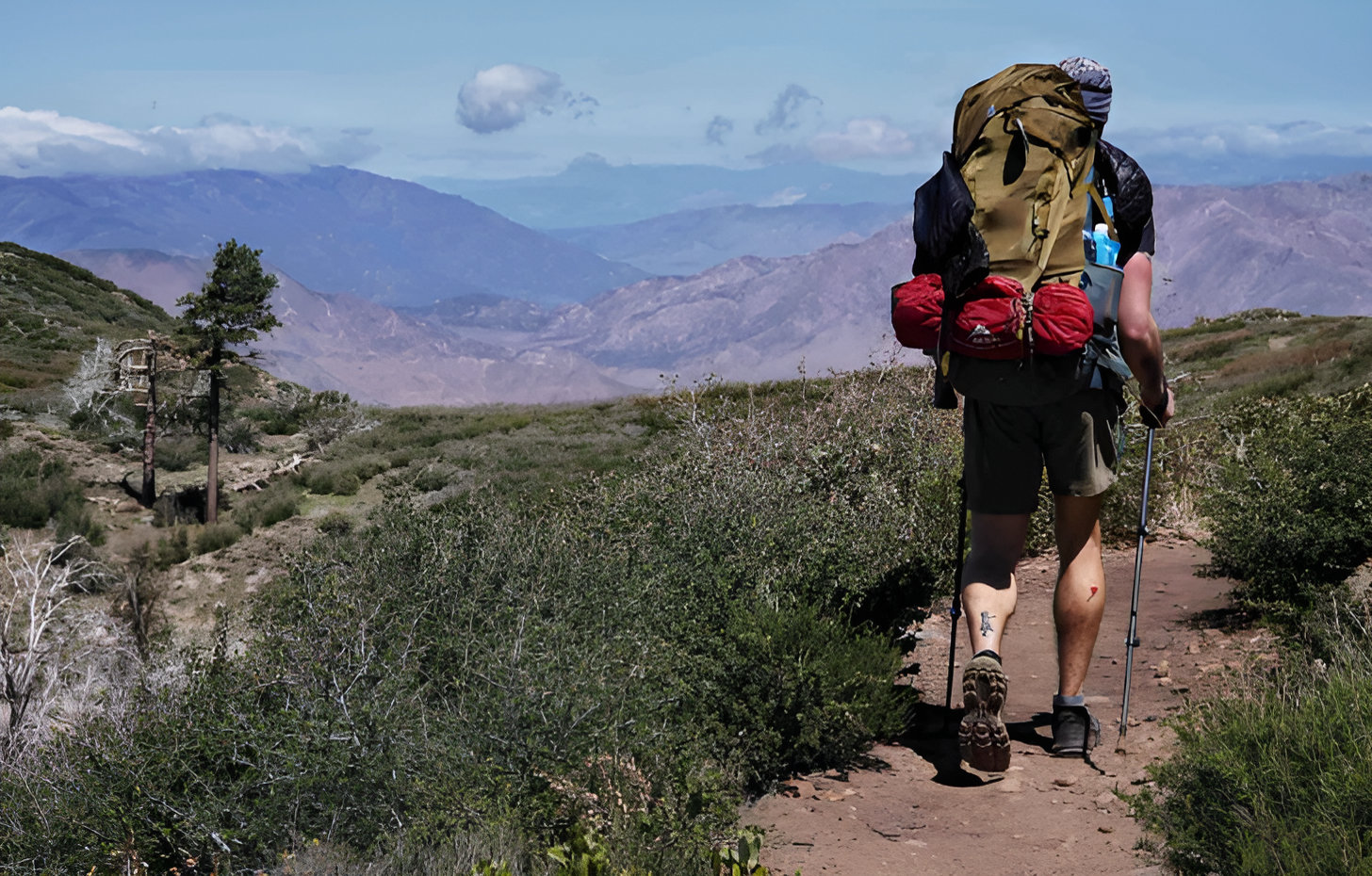 Silverlight-Australia-codes-shoppingspout