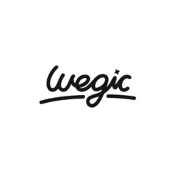 Wegic